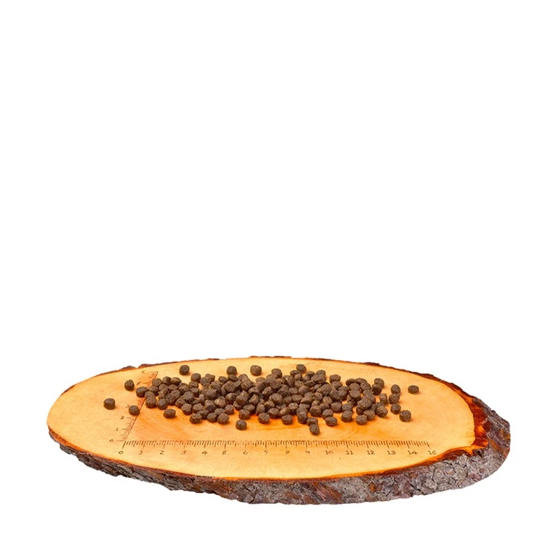 CARNILOVE GATTINI - SALMONE E TACCHINO - immagine 3