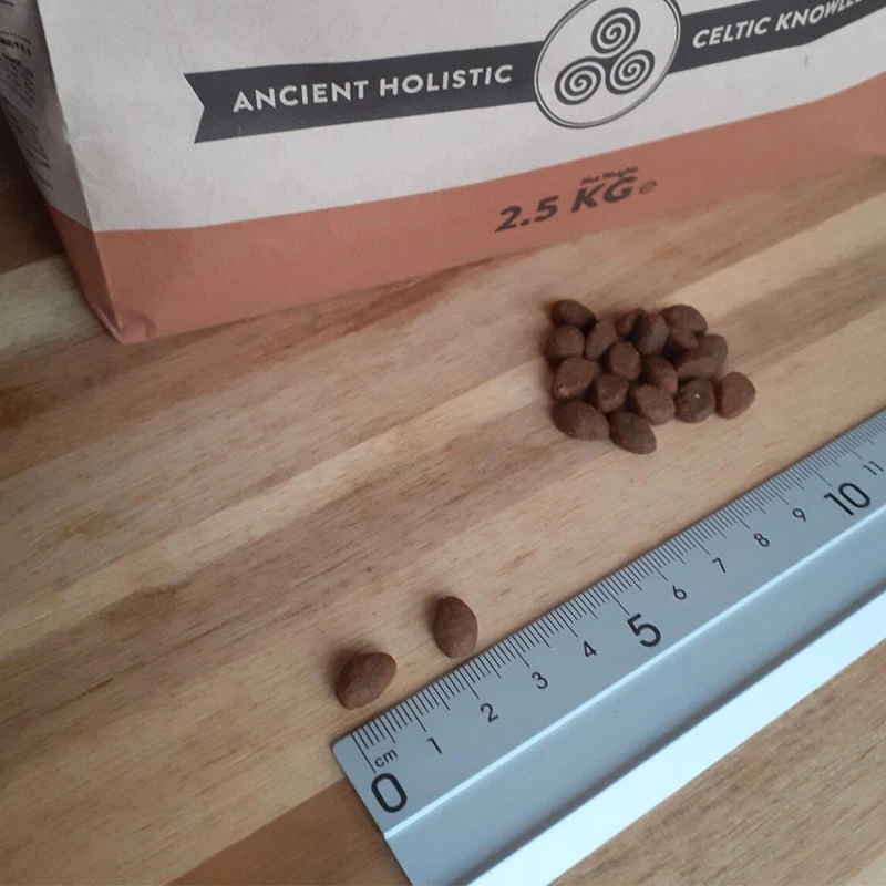 CELTIC CONNECTION - GATTO - POLLO CON ANATRA E TACCHINO - immagine 2