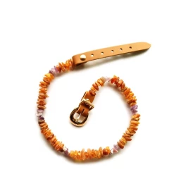 Bio Pet Store COLLARE ANTIPARASSITARIO IN AMBRA BALTICA NATURALE E AMETISTA