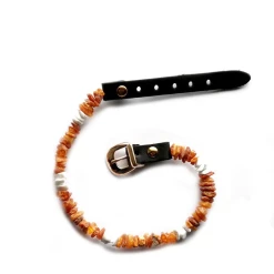 Bio Pet Store COLLARE ANTIPARASSITARIO IN AMBRA BALTICA NATURALE E HOWLITE