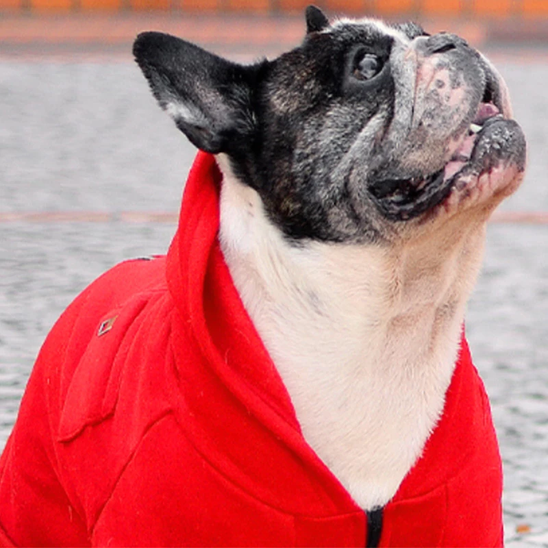 DASHI - EDIZIONE LA CASA DI CARTA - FELPA CON MASCHERA ROSSA - immagine 3