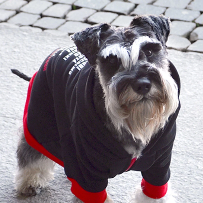 DASHI - EDIZIONE LA CASA DI CARTA - FELPA NERA CON MASCHERA - immagine 3