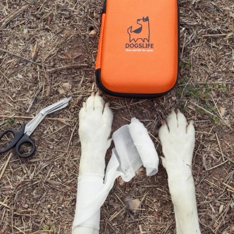 DOGSLIFE - KIT DI PRIMO SOCCORSO - immagine 4