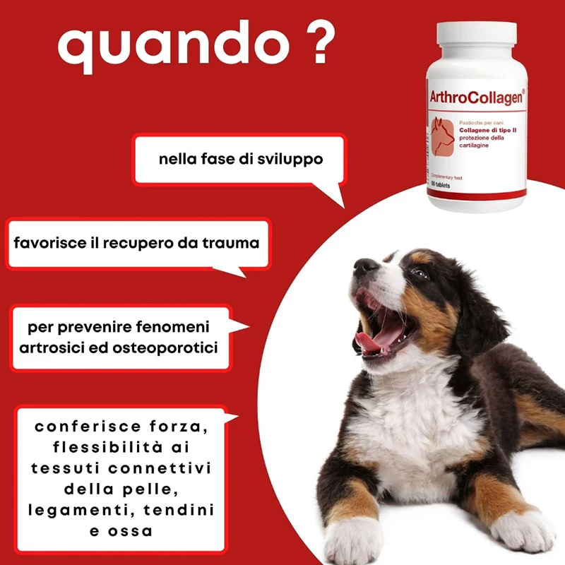 DOLFOS - ARTHROCOLLAGEN - immagine 2