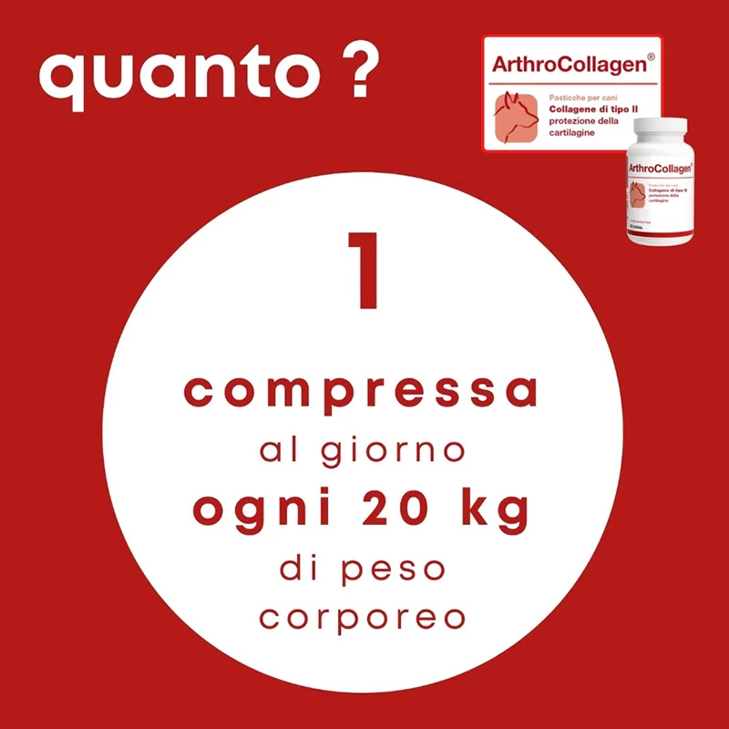DOLFOS - ARTHROCOLLAGEN - immagine 3
