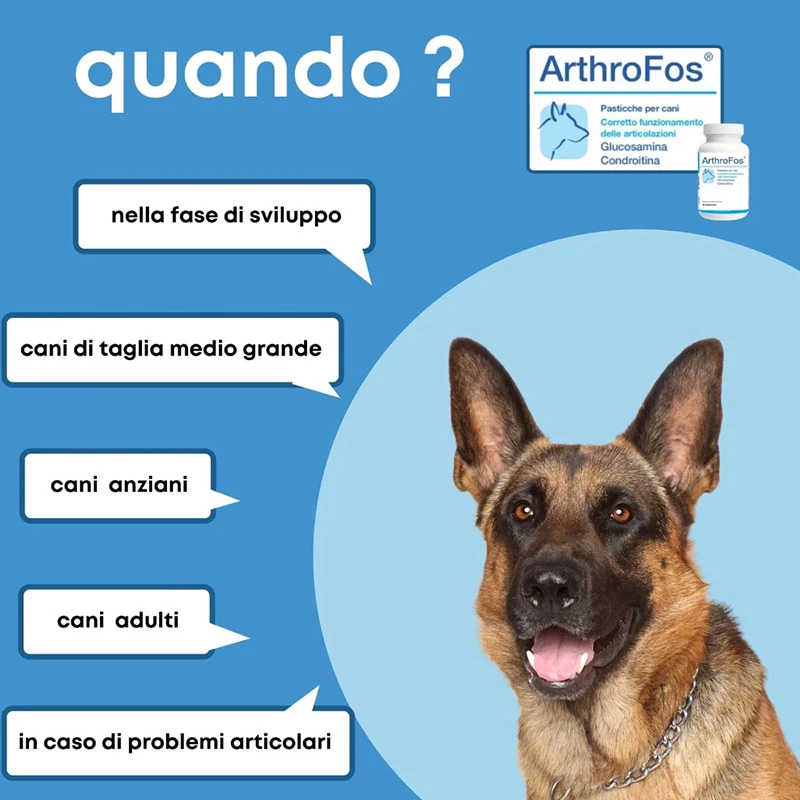 DOLFOS - ARTHROFOS - immagine 3