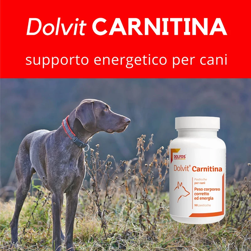 DOLFOS - DOLVIT CARNITINA - immagine 2