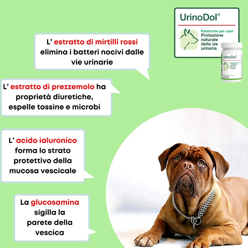 DOLFOS - URINODOL MINI - immagine 2