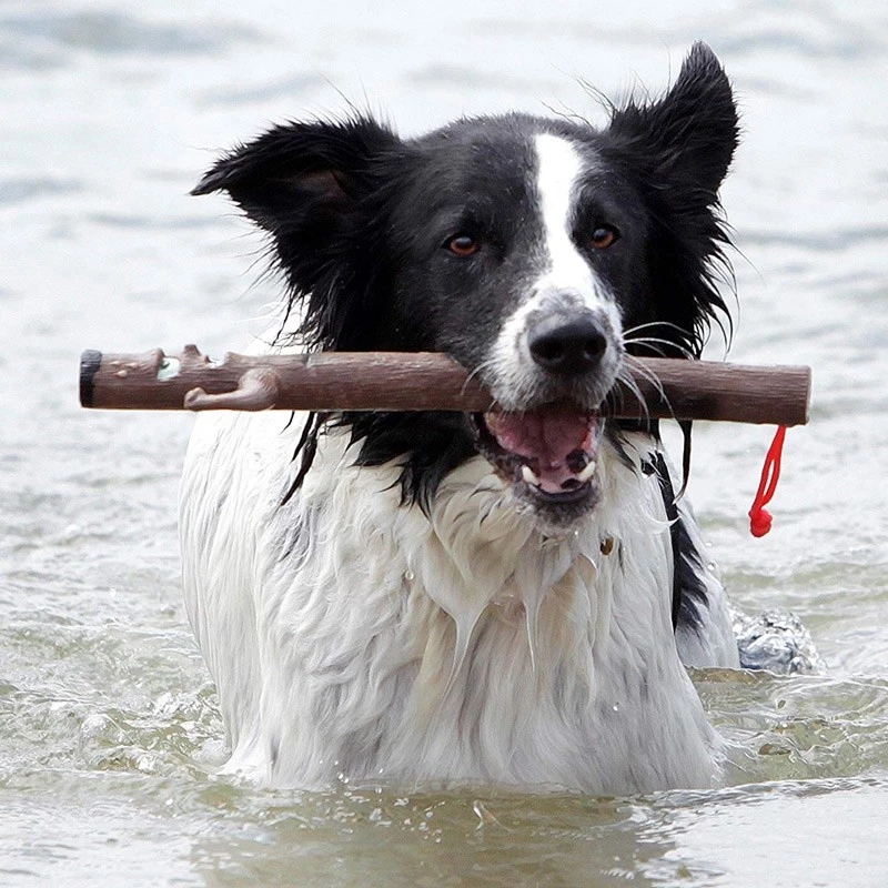 DOOG - ELSTICKO - immagine 2