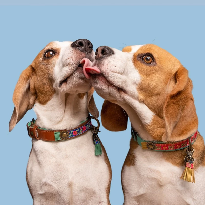 DWAM - COLLARE POPPY - immagine 3