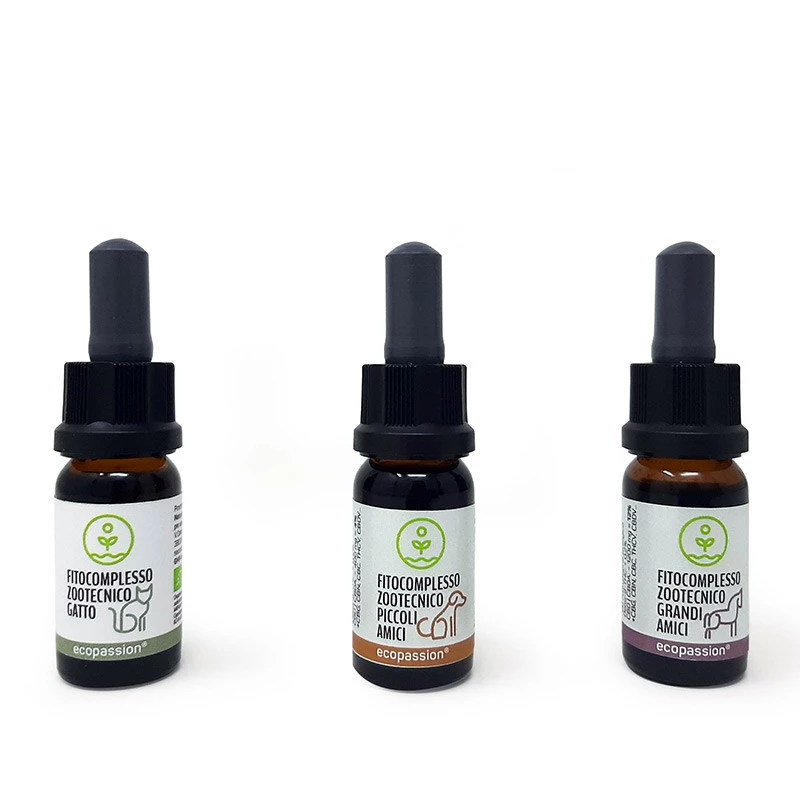 ECOPASSION - OLIO DI CBD PER CANI DI TAGLIA GRANDE -12% DI CBD - immagine 2