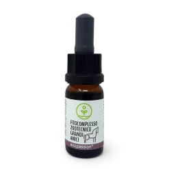 ECOPASSION - OLIO DI CBD PER CANI DI TAGLIA GRANDE -12% DI CBD