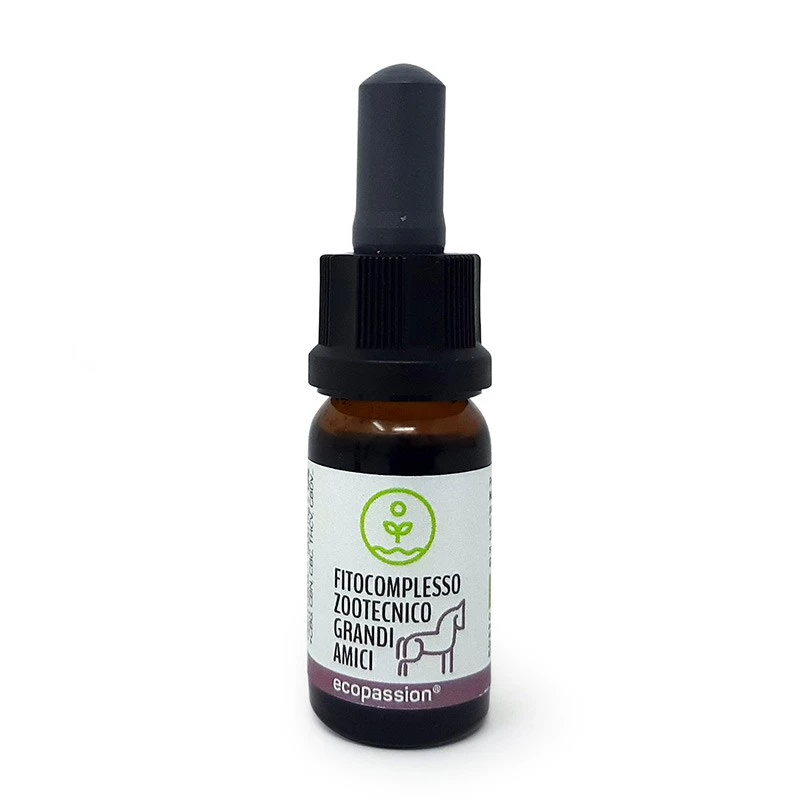 ECOPASSION - OLIO DI CBD PER CANI DI TAGLIA GRANDE -12% DI CBD