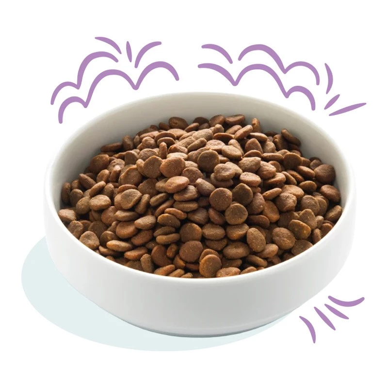 EDGARD & COOPER - PUPPY - SALMONE ATLANTICO E TACCHINO ALLEVATO A TERRA - immagine 2