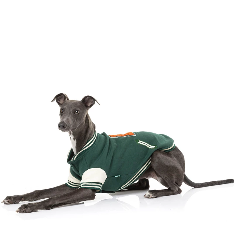 FUZZYARD - THE LETTERMAN JACKET - VERDE - immagine 2