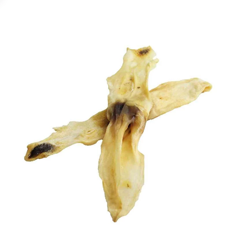 PAUL & PAULINA - ORECCHIE DI CONIGLIO - immagine 2