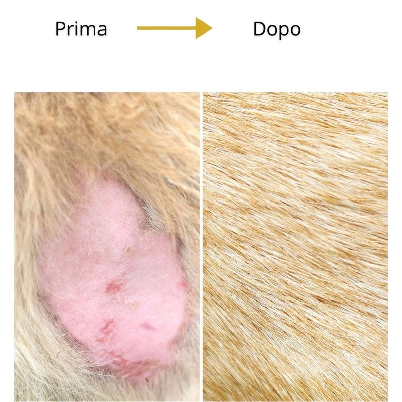 PETICARE - HEALTH 2100 - DERMATITE ESTIVA - immagine 2