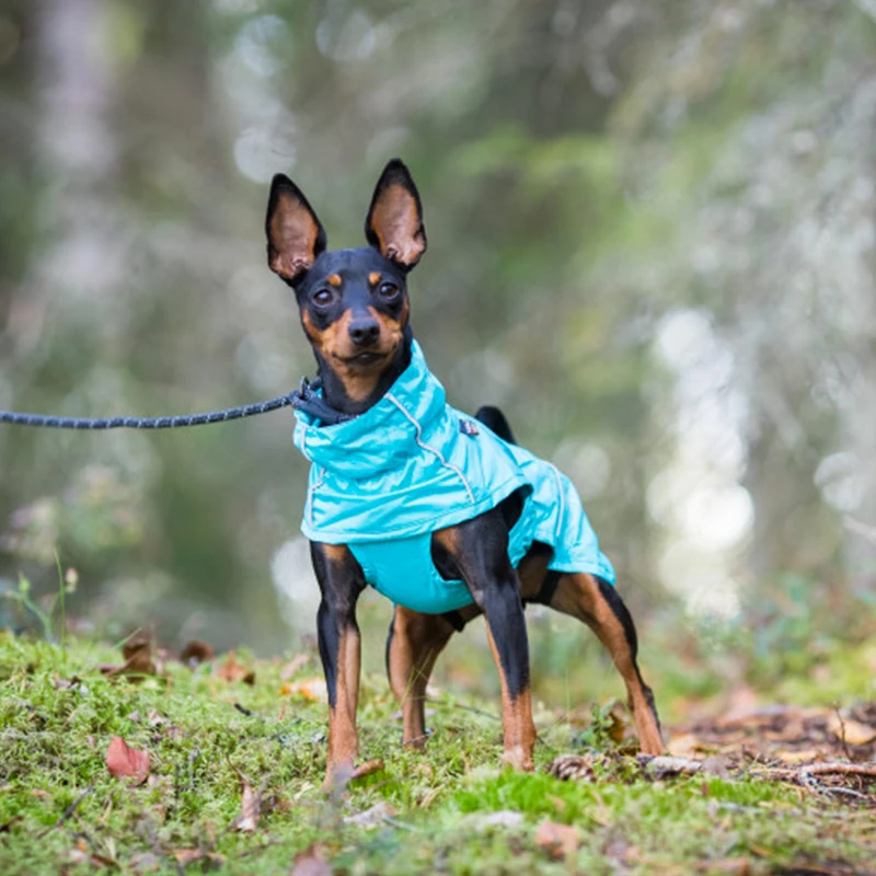 RUKKA PET RUKKA - GIACCA ANTIPIOGGIA HASE TURCHESE - immagine 2