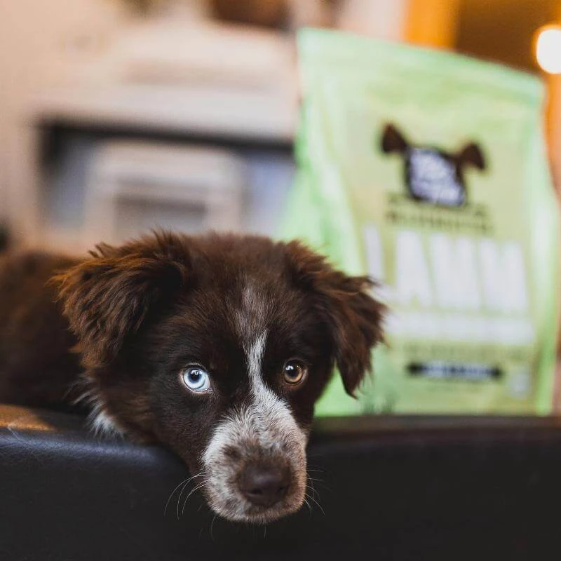 TALES & TAILS - PUPPY - SEMIUMIDO ALL'AGNELLO - immagine 3