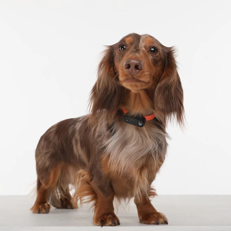 TICKLESS - MINI DOG - MEDAGLIETTA RICARICABILE CON ULTRASUONI - GREEK BLUE - immagine 4