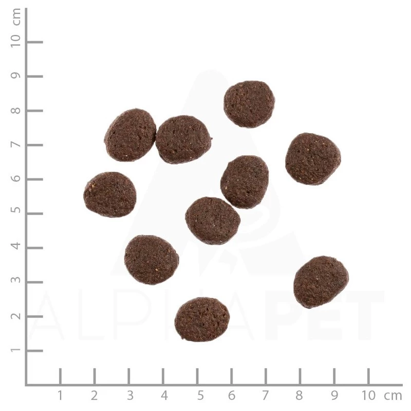 WILDES LAND - CLASSIC ADULT - TROTA E SALMONE CON PATATE E ERBE SELVATICHE - immagine 4