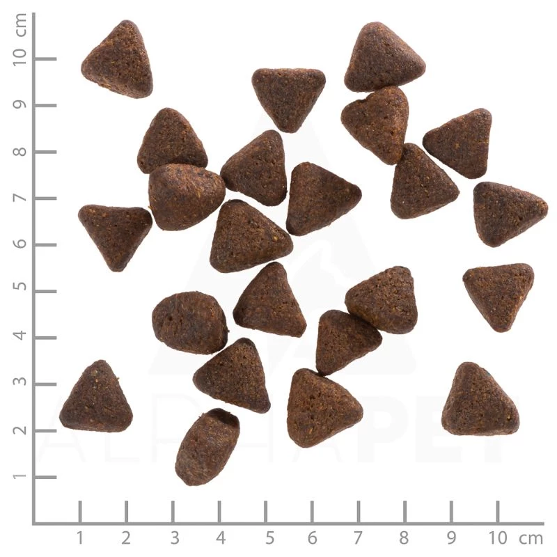 WOLFSBLUT - ATLANTIC TUNA - TONNO E PATATE DOLCI - immagine 2