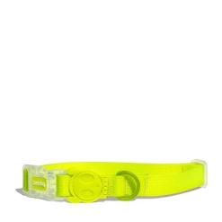 Zee.Dog ZEE DOG - COLLARE IN NEOPRENE LIME