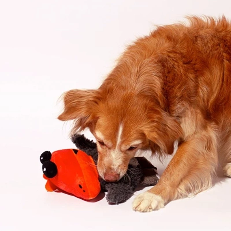 Zee.Dog ZEE DOG - COLLEZIONE ANIMALI MUTANTI SEAPORK - immagine 2