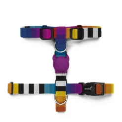 Zee.Dog ZEE DOG - PETTORINA AD H PRISMA