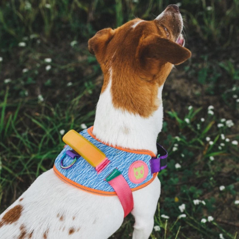 Zee.Dog ZEE DOG - PETTORINA FLY GALAXY - immagine 3